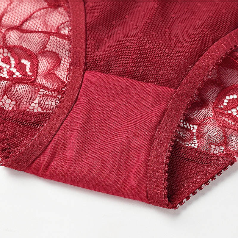Transparent Soft Lace Panties - Flip Flop Labs